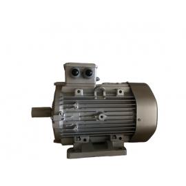 MOTOR ELECTRICO T 100 3kW IE3 4P 230/400V 50HZ B3